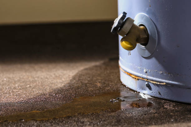 Best Water damage cleanup near me  in Clayton, NM