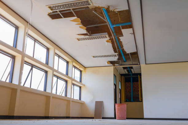 Water damage restoration mold remediation in Clayton, NM
