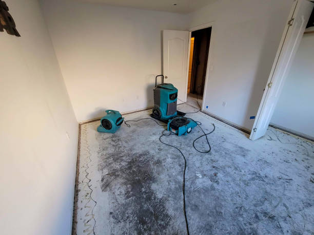 Best Water damage restoration mold remediation  in Clayton, NM