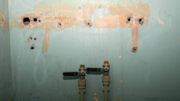 Water damage restoration experts in Clayton, NM