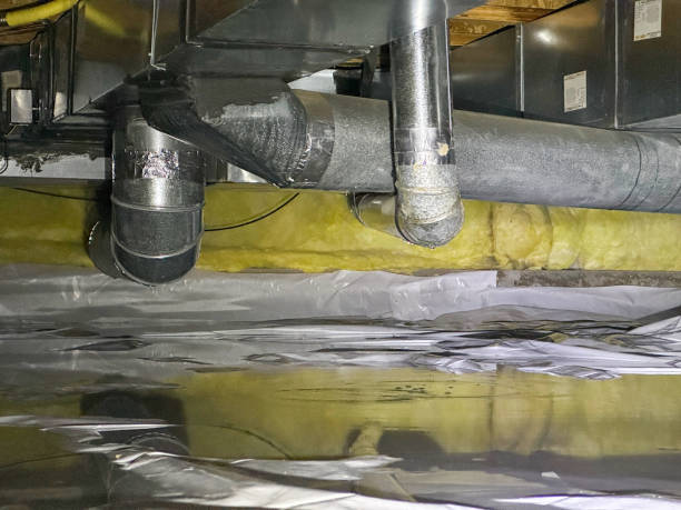 Best Residential water damage restoration  in Clayton, NM