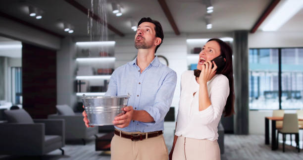 Best Ceiling water damage repair  in Clayton, NM