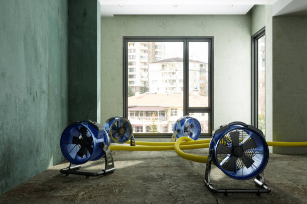Best 24-hour water damage restoration  in Clayton, NM