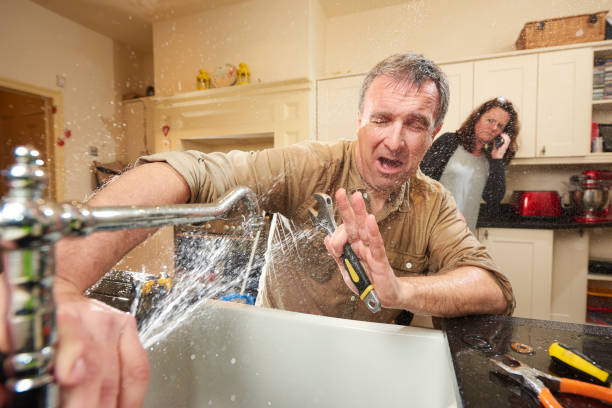 Best Water damage contractors near me  in Clayton, NM